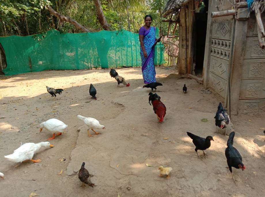 Agricultural Development Image